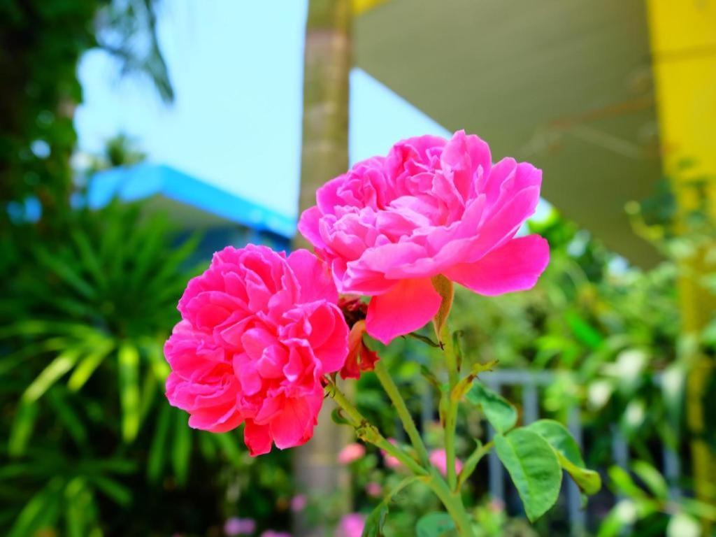 Rommai Rimnaam Resort Ranong Dış mekan fotoğraf