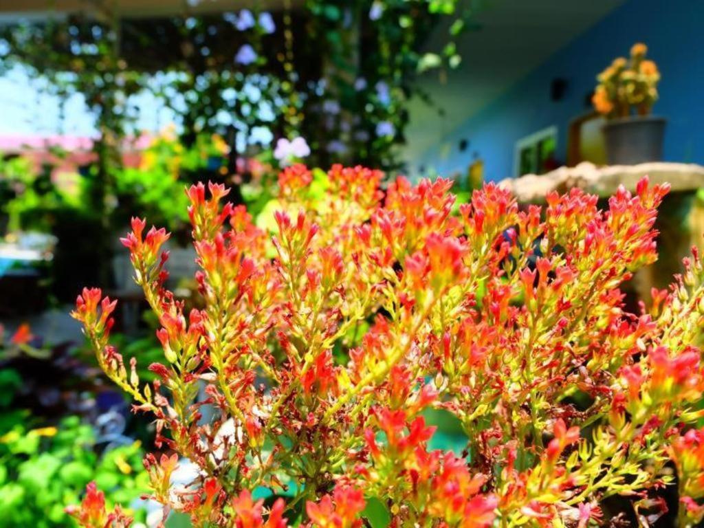 Rommai Rimnaam Resort Ranong Dış mekan fotoğraf